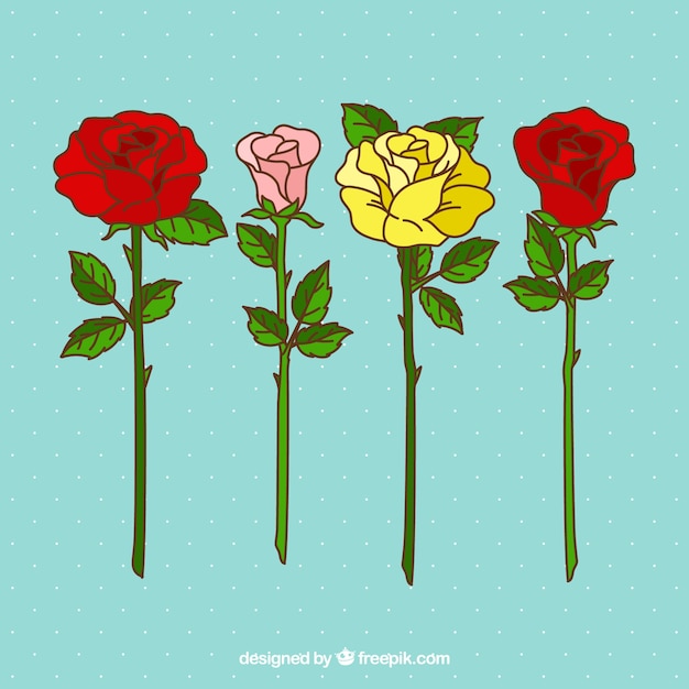 Bonitas rosas de colores dibujadas a mano | Vector Gratis