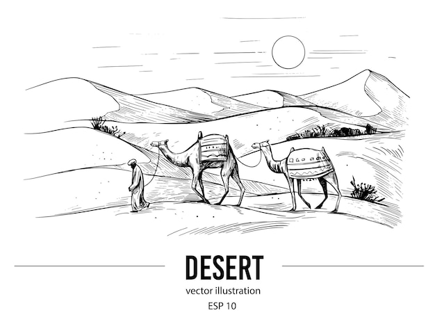 Bosquejo Del Desierto Del Sahara Ilustración De Vector De Dunas De Arena Y Camellos Vector