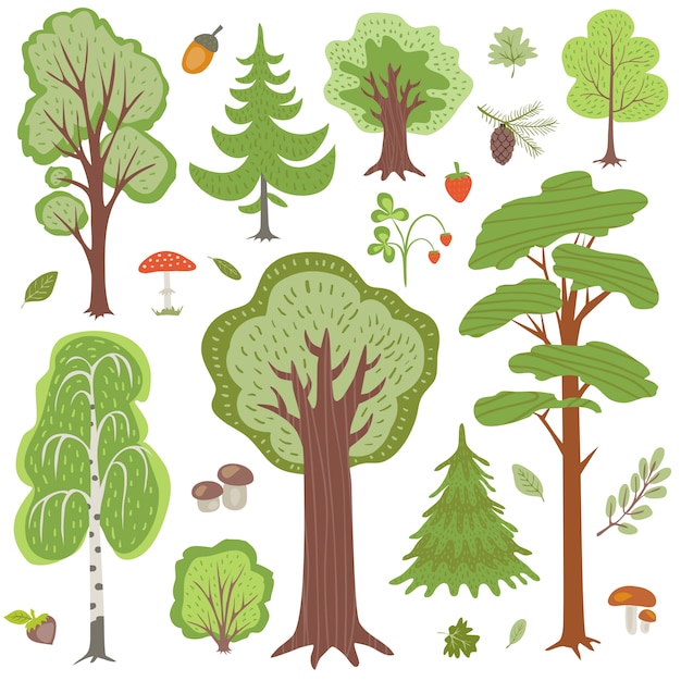 Bosques Plantas Y Setas Otros Elementos Florales Del Bosque Vector Premium