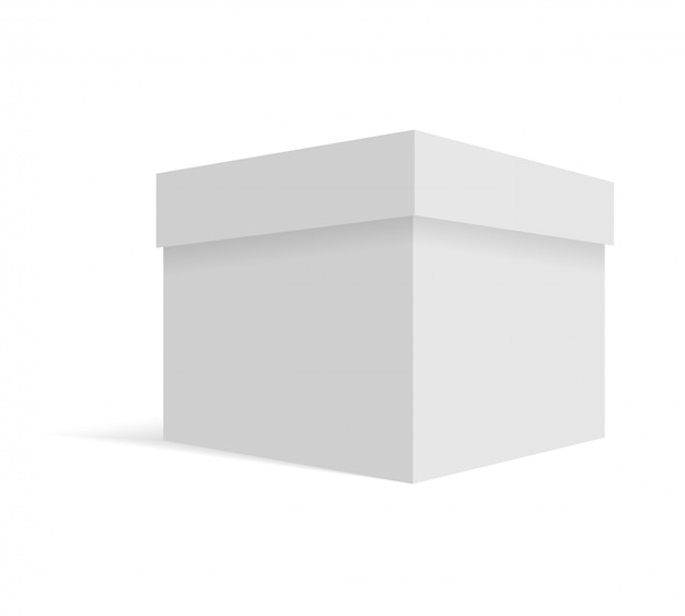 Caja De Cartón Blanco En Blanco Vector Premium 8397