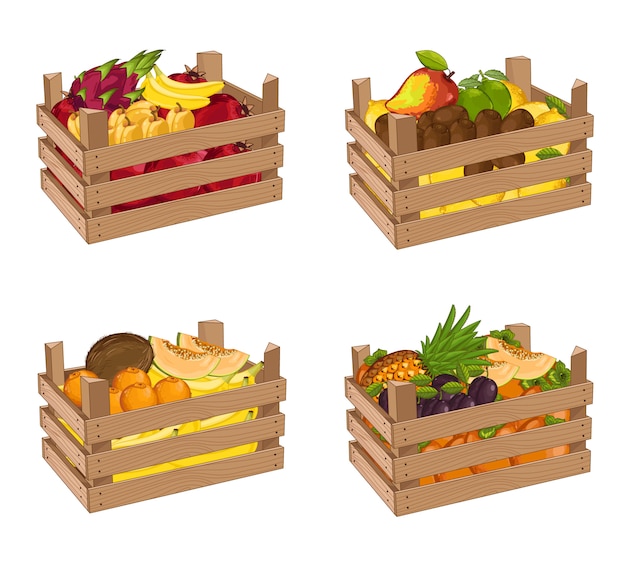 Download Caja de madera llena de fruta set vector aislado | Vector ...