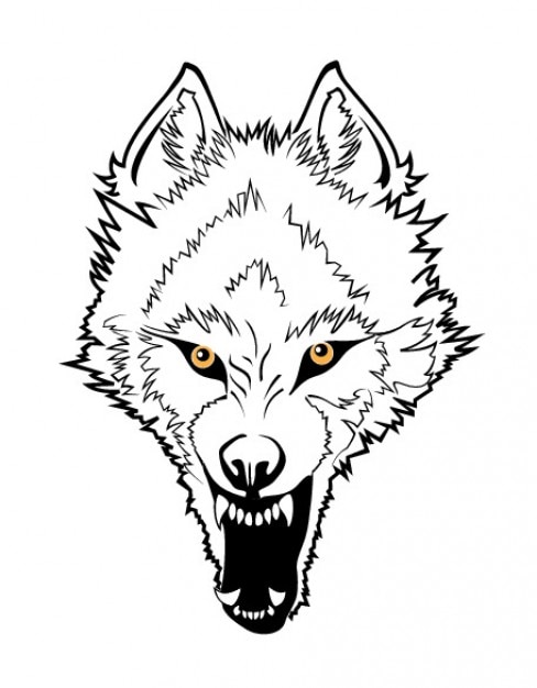 Cara Del Lobo Enojado Vector Gratis