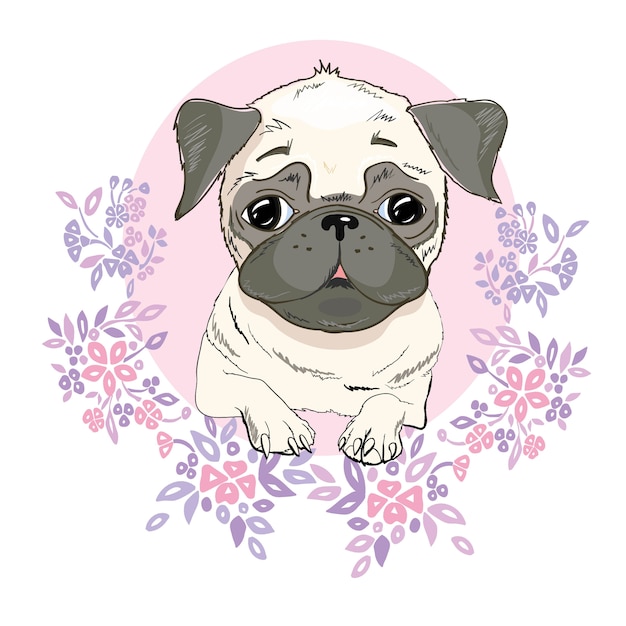 Perros Pug Bebes Para Dibujar Hacer Camas Para Perros