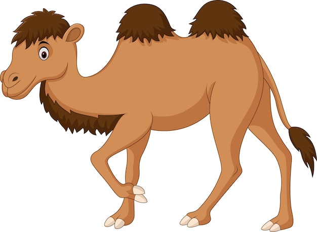 https://image.freepik.com/vector-gratis/caricatura-lindo-camello-aislado-sobre-fondo-blanco_29190-788.jpg