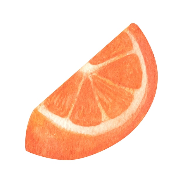 Clipart De Rodaja De Naranja Acuarela Dibujada A Mano Linda