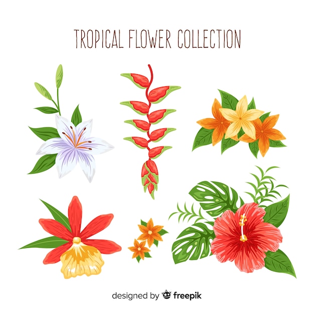 Colección Adorable De Flores Tropicales Dibujadas A Mano Vector Gratis 3262