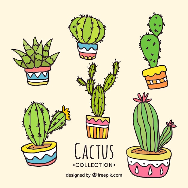 Colecci N De Cactus Dibujada A Mano Vector Gratis