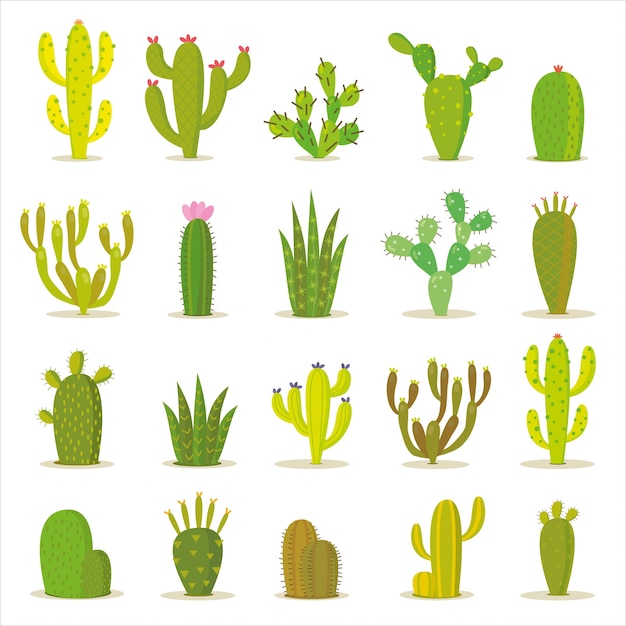 Colección de iconos de cactus Descargar Vectores Premium