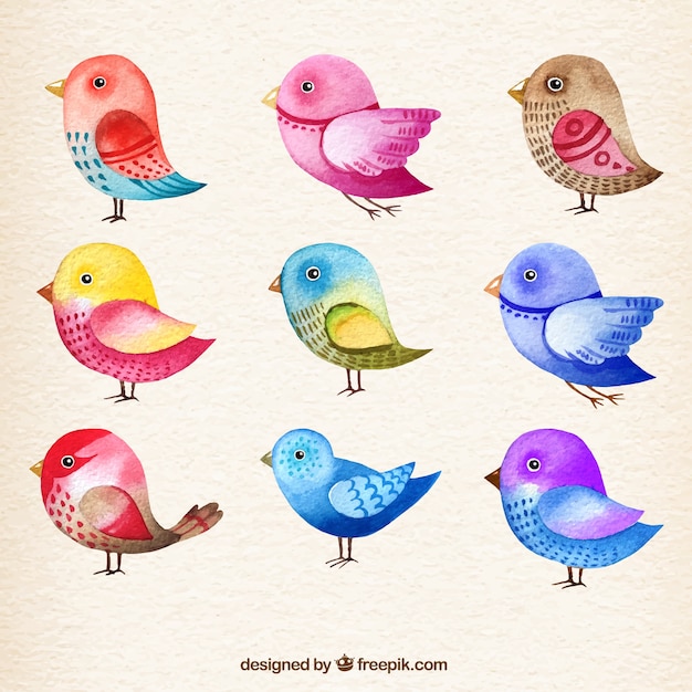 Colección de pájaros de acuarela Vector Gratis