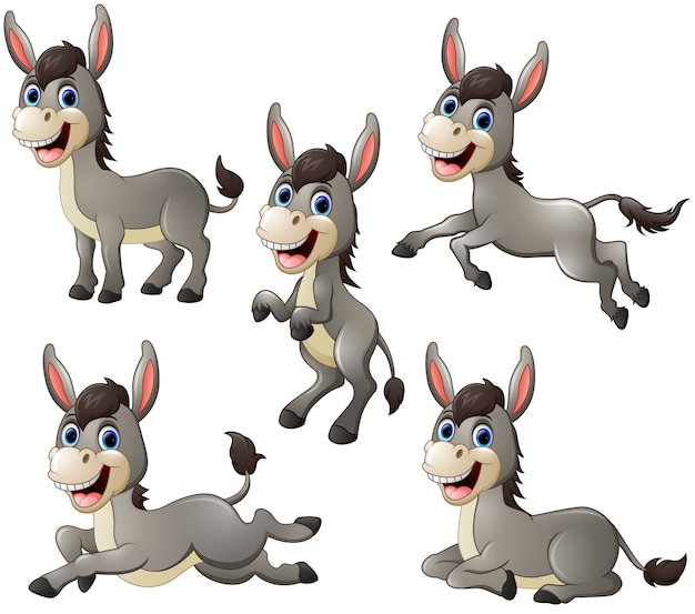 Featured image of post Animadas Dibujo Animadas Imagenes De Burros Iconos de burros im genes con movimiento de burros