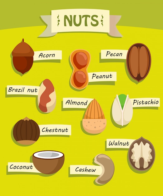 Colecci N De Elementos Planos De Nueces Naturales Vector Gratis