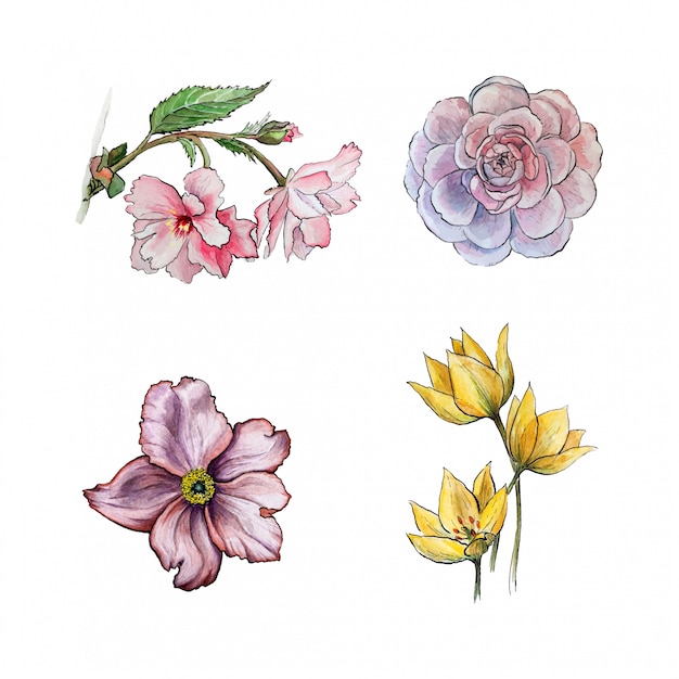 Colección de flores dibujadas a mano en acuarela. | Vector Premium