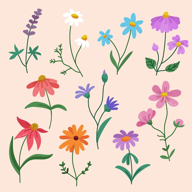 Colección De Flores Dibujadas A Mano | Vector Gratis