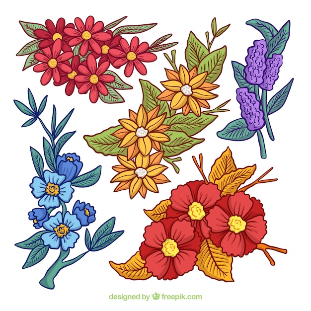 Colección De Flores De Primavera Dibujadas A Mano Vector Gratis 9346