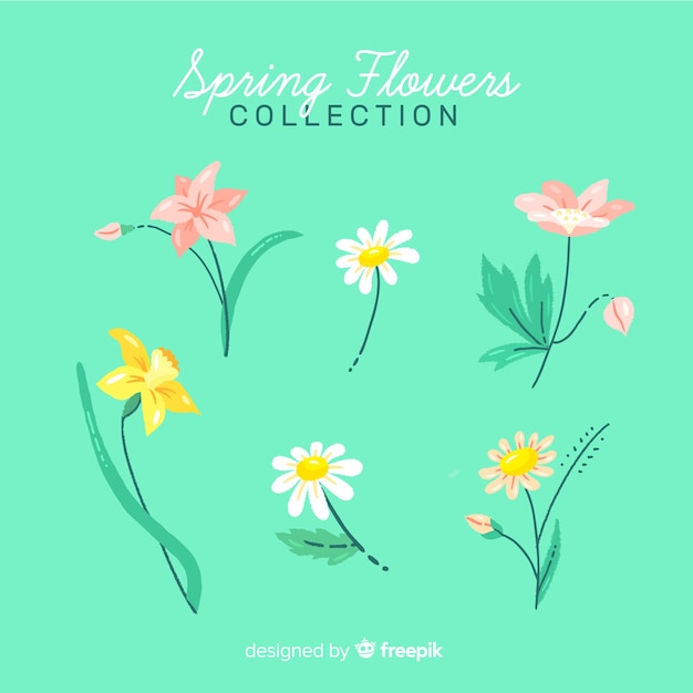 Colección De Flores De Primavera Dibujadas A Mano Vector Gratis 6798