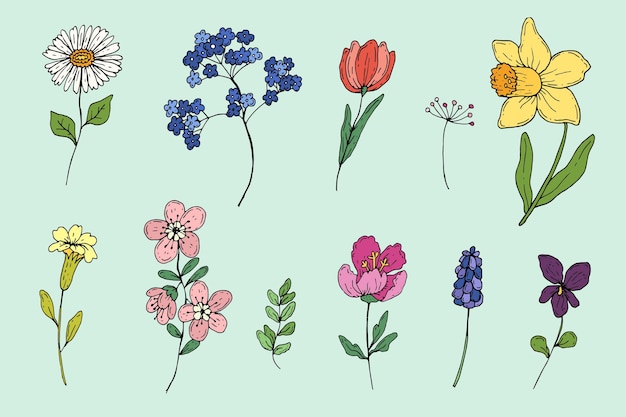 Colección De Flores De Primavera Dibujadas A Mano Vector Gratis 7367