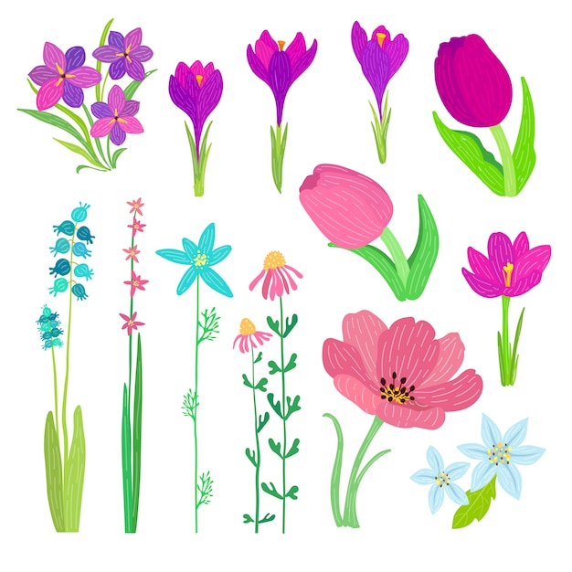 Colección De Flores De Primavera Dibujado A Mano Vector Gratis