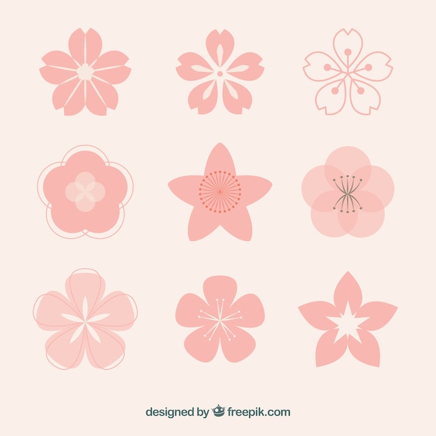 Colección De Flores Rosadas Con Variedad De Diseños Vector Gratis 2690