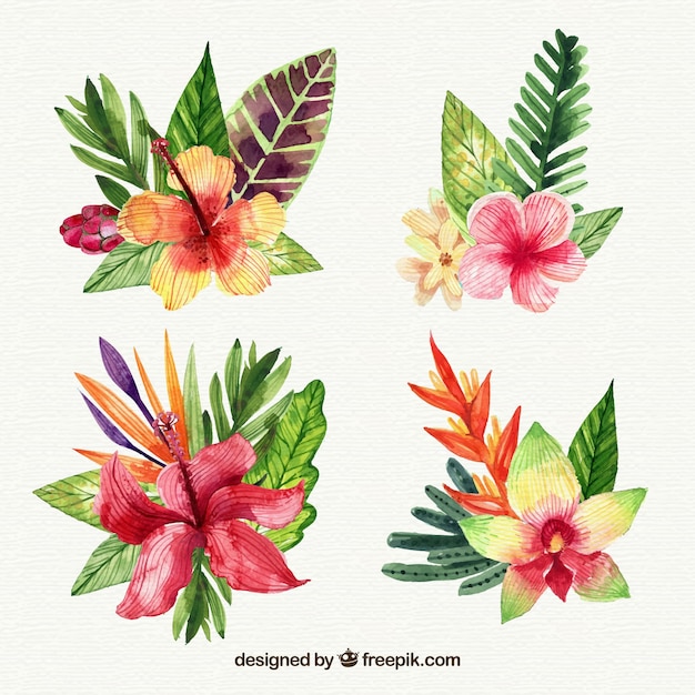 Colección De Flores Tropicales En Estilo Acuarela Vector Gratis 7664