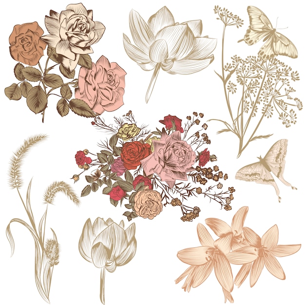 Colección de flores vintage dibujadas a mano | Vector Premium