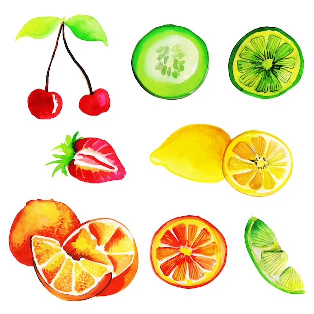 Colección de frutas de acuarela summner Vector Premium