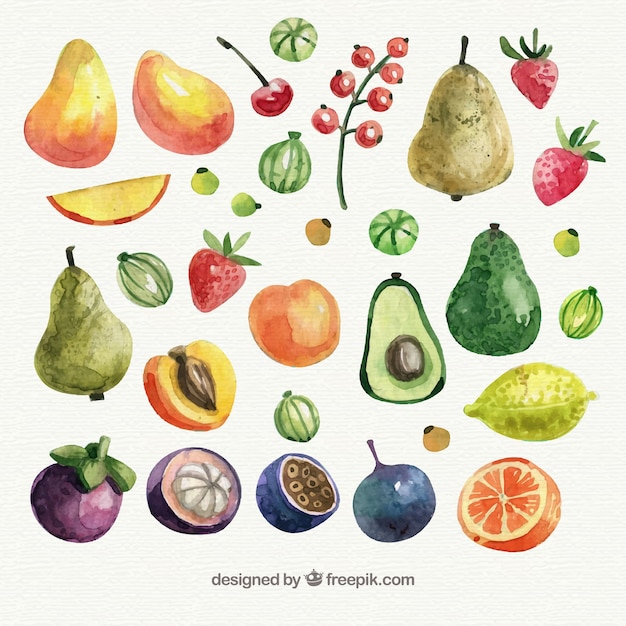 Colección de frutas en estilo de acuarela Vector Gratis