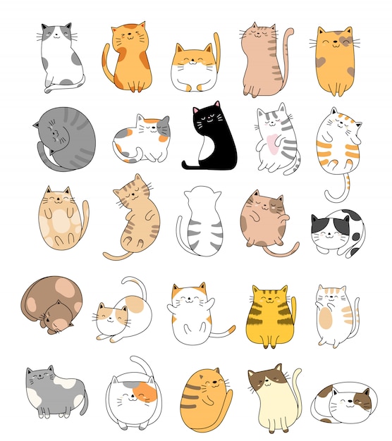 Colección de gato bebé dibujado a mano Vector Premium