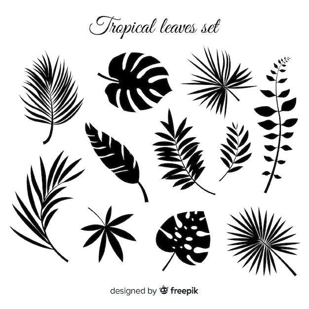 Colección de hojas tropicales dibujados a mano | Vector Gratis