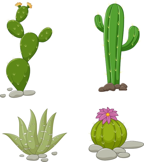 Colección de ilustración de cactus Vector Premium