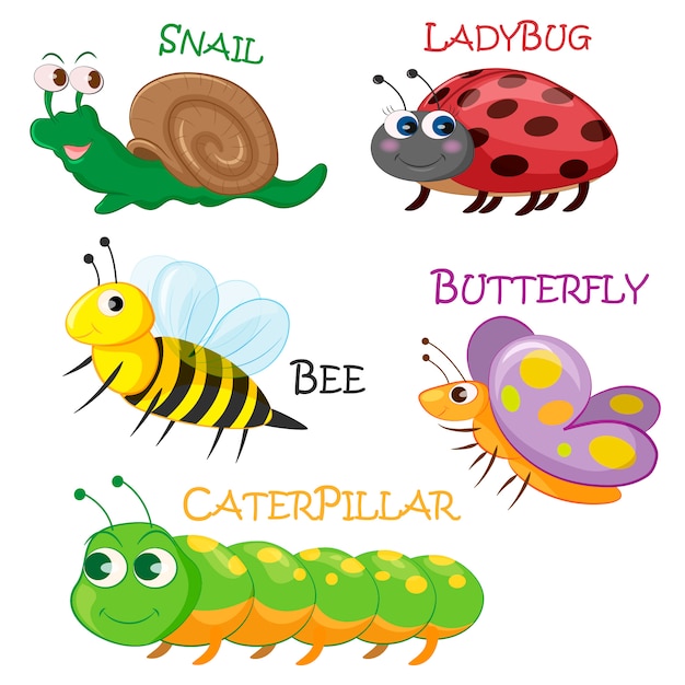 Coleccion De Insectos De Primavera De Dibujos Animados Vector