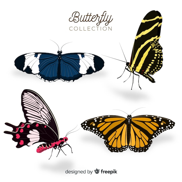 Download Colección de mariposas en diseño plano | Vector Gratis