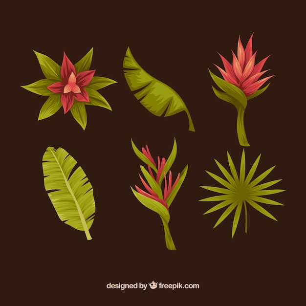 Colecci N De Plantas Dibujadas A Mano Vector Gratis