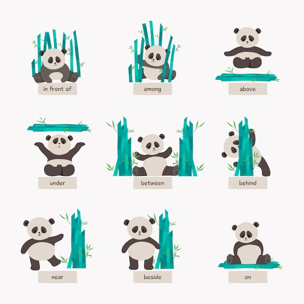 Coleccion De Preposiciones En Ingles Con Lindo Panda Vector Gratis