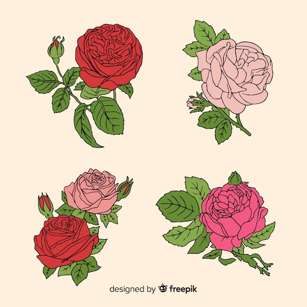 Colección Rosas Dibujadas A Mano Vector Gratis 9027