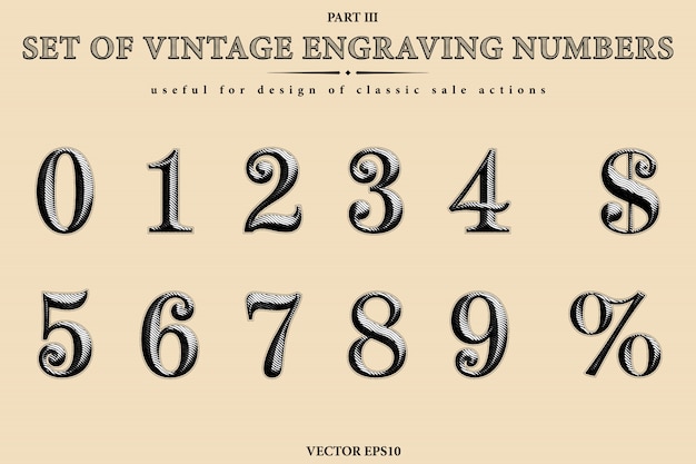 Download Colección de vectores de los números de grabado vintage ...