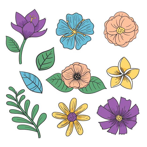 Colorida Colección De Flores Dibujadas A Mano. | Vector Gratis