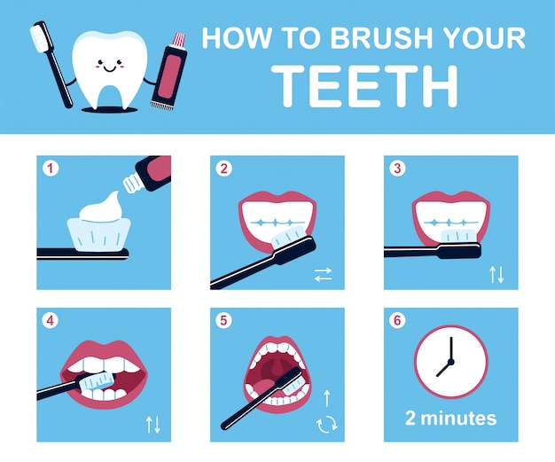 Cómo Cepillarse Los Dientes Instrucciones. Infografía Dental De Dibujos ...