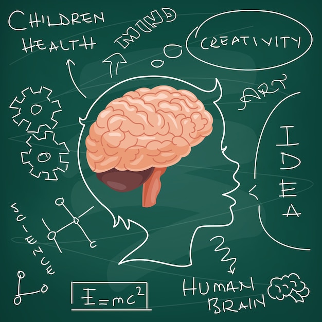 Concepto De Anatomía Y Creatividad Del Cerebro Vector Premium 9250