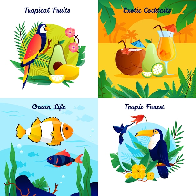 Concepto de diseño tropical con frutas exóticas cócteles océano vida vector ilustración vector gratuito