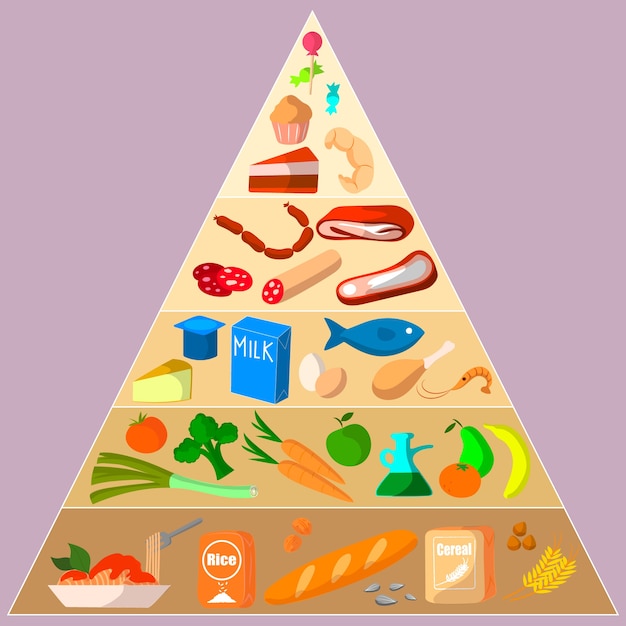 Piramide Alimenticia Nutricional Vector Free Vector Freepik Fre Images The Best Porn Website