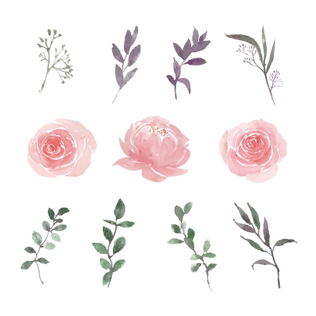 Conjunto de acuarela colorida flor y follaje ilustración de elementos aislados en blanco. vector gratuito