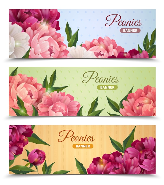 Conjunto De Banners De Flores | Vector Gratis