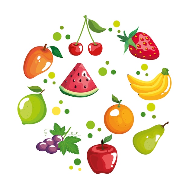 Conjunto De Círculo De Frutas Ilustración De Tema De Alimentos Orgánicos Saludables Vector 7207