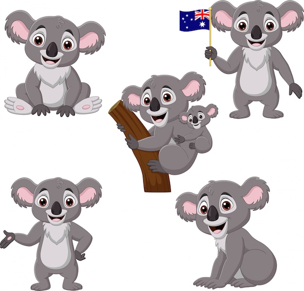 Conjunto De Colección De Dibujos Animados Koalas Vector Premium