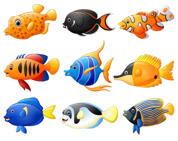 Conjunto De Dibujos Animados De Peces Vector Premium 3236