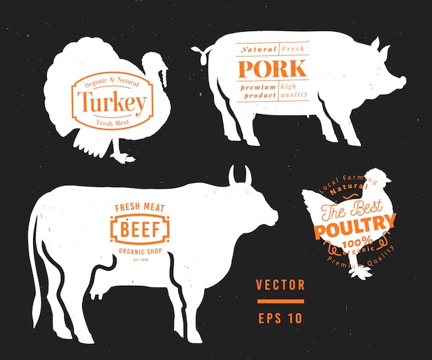 Conjunto de etiquetas de carnicería y elementos de diseño. toro gráfico, cerdo, pavo, siluetas de pollo. Vector Premium