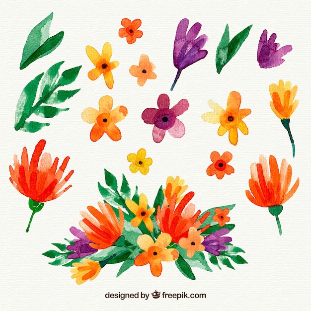 Conjunto de flores de acuarela | Vector Gratis