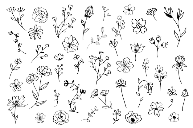Conjunto de flores dibujadas a mano vector gratuito