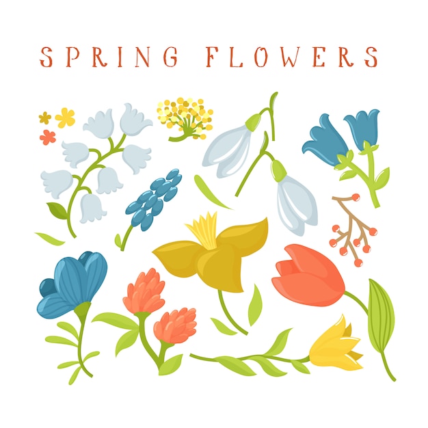 Conjunto De Flores Silvestres De Primavera De Dibujos Animados