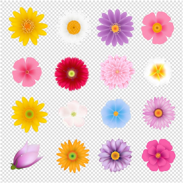 Conjunto De Flores De Verano Fondo Transparente Vector Premium